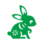 兔年