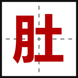 肚