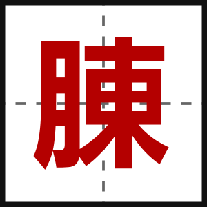 腖