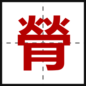 膋