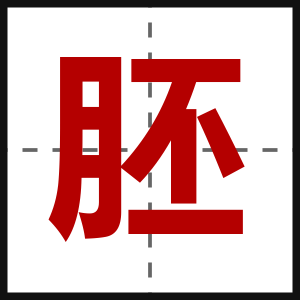 胚