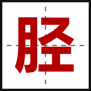 胫