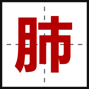 肺