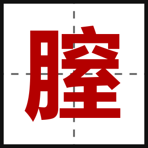 膣