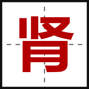 肾
