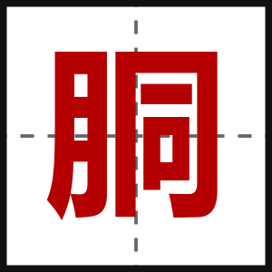 胴