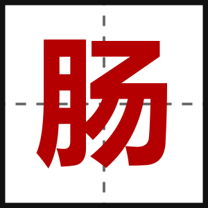 肠
