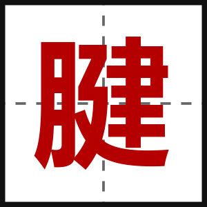 腱