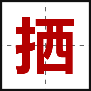 拪
