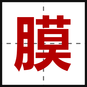 膜