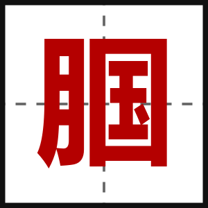 腘