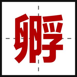 孵