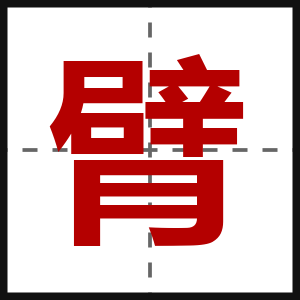 臂