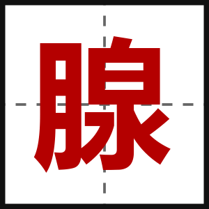 腺