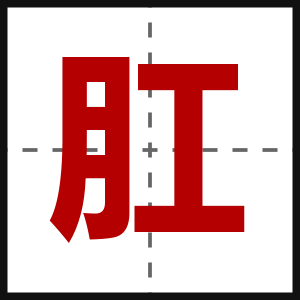 肛